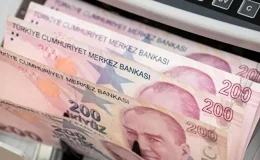 Evlilik Öncesi ve Sonrası Eğitim Koşulu Ne Anlama Geliyor?